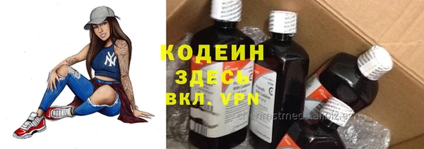 ПСИЛОЦИБИНОВЫЕ ГРИБЫ Куровское