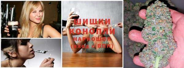 гидра Заволжск