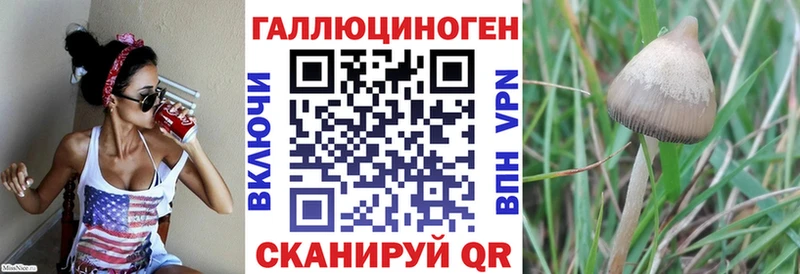 Псилоцибиновые грибы GOLDEN TEACHER  цена наркотик  Слободской 